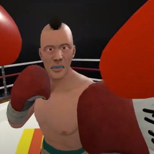 VR boxing simulators